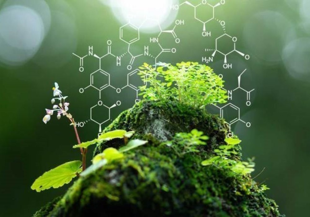 Sustainability